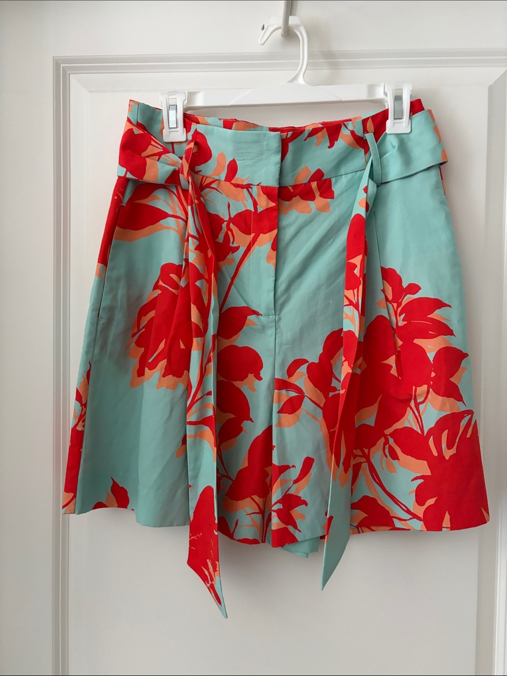 Tyler Boe Shorts in Aqua and Red